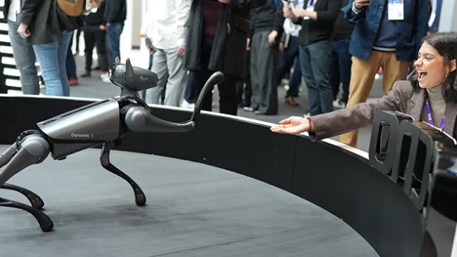 Woman extending her hand to a robotic dog