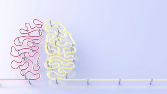 A New Age in Learning and Development