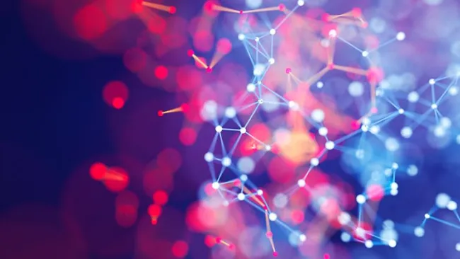 The DNA of CX Innovation