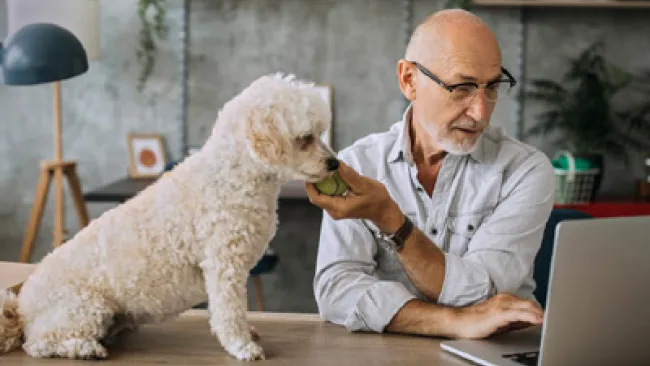 Flexible scheduling can help transform your contact center 